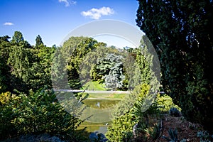 Pond in Buttes-Chaumont Park, Paris