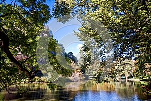 Pond in Buttes-Chaumont Park, Paris