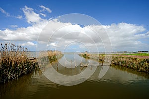 Pond Cabras - Sardinia Ã¯Â¿Â½ Italy