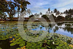 Pond in Candidasa - Bali Island Indonesia photo