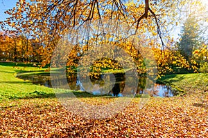 Pond in Catherine park in autumn, Tsarskoe Selo Pushkin, Saint Petersburg, Russia