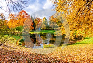 Pond in Catherine park in autumn, Tsarskoe Selo Pushkin, Saint Petersburg, Russia
