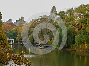 A pond in Central Park