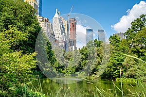 The Pond in Central Park with of the midtown Manhattan skyline