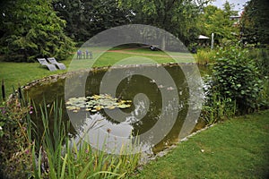 Pond in a city park with a lily