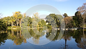 Pond Ciutadella Park