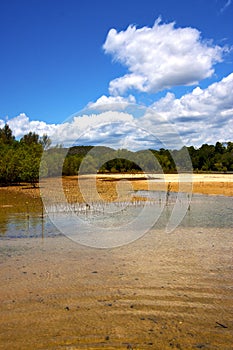 Pond coastline river in the and bush in madagascar iranja