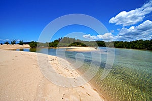 Pond coastline river in the relax and bush madagascar