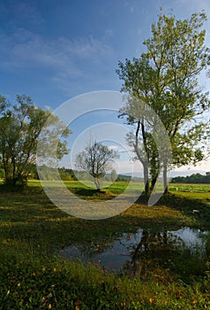 Pond on countryside