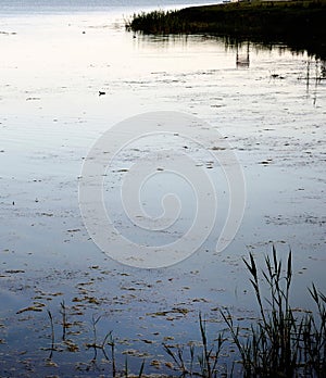 The Pond at Dawn (Mogan Park, Ankara/Turkey)