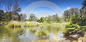 Pond Dechantlacke of the Danube Auen National Park Vienna