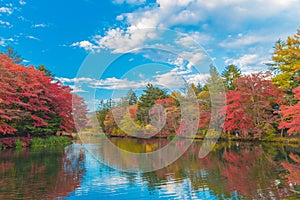 Pond in a delightful autumn.