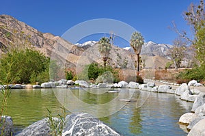 Pond in the desert