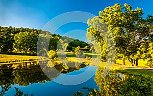 Pond and driveway to a farm in the Shenandoah Valley, Virginia.