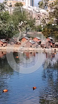 Pond with duck islands