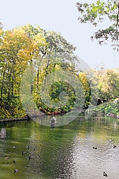 Pond with ducks in autumn park Oleksandriya in Bila Tserkva, Ukraine