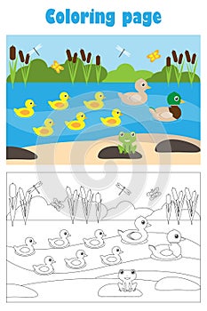 Pond with ducks, cartoon style, coloring page, education paper game for the development of children, kids preschool activity,