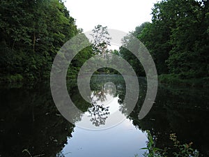 Pond in DÃâ¢bina