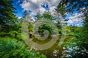 Pond at Elizabeth Park, in Hartford, Connecticut.