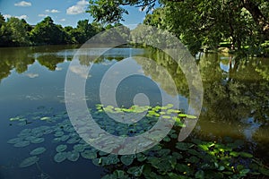 Pond on the estate of L.N. Tolstoy Yasnaya Polyana.