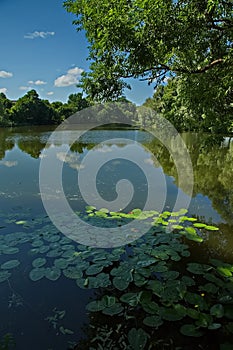 Pond on the estate of L.N. Tolstoy Yasnaya Polyana.