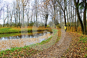 Pond in the estate of Leo Tolstoy in Yasnaya Polyana