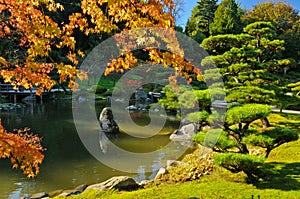 Pond and Fall Foliage in Japanese Garden