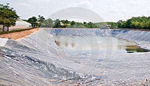 The Pond in farm