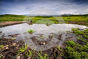 Pond, field and mountains in Kazakhstan