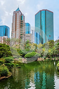 Pond and flamingos at Kowloon Park with skyscrapers behind