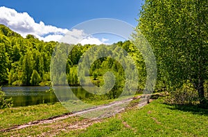 Pond among the forest on fine spring day