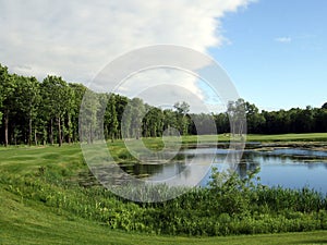 Pond and forest golf