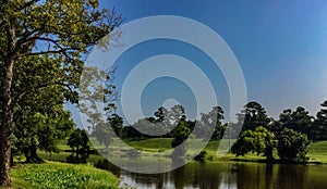 Pond at Forsythe Park photo