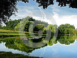 Pond in France