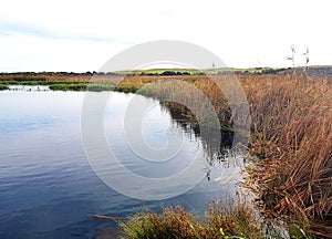 Ewen`s Ponds, pristine freshwater ecosystem