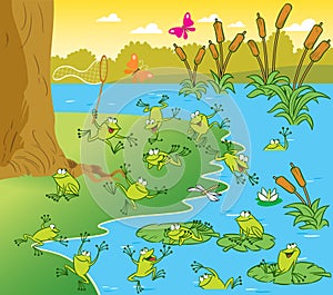 Pond with the frogs