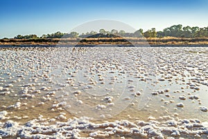 A pond full of salt after evaporation of ocean water at salines in Faro, Portugal