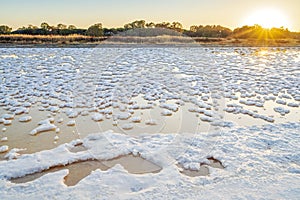 Pond full of salt after evaporation of ocean water at salines in Faro, Portugal