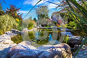 Pond in garden