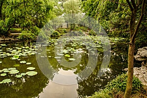 Pond in a garden of Suzhou, China