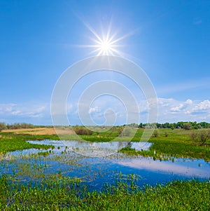 pond among green prairie at spring sunny day