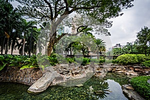 Pond at Greenbelt Park, Makati, Metro Manila, The Philippines.