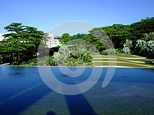 A pond with greenery at Hort Park photo