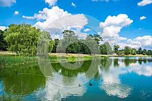 A pond in Hampton Court Park