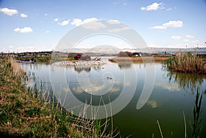 The Pond I (Mogan Park, Ankara/Turkey)