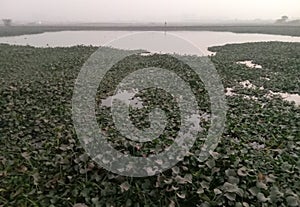 Pond image in evening