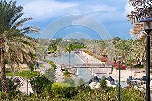 Pond inside the park