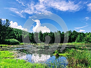 A pond inside Sunnybrook State Park