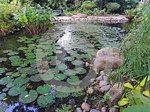 Pond in Istana Park, Singapore photo