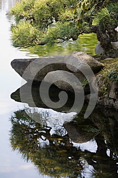 Pond in Japan with Banzai tree